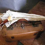 Bed & Breakfast Il Glicine 3*