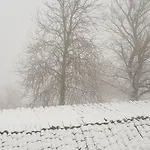 Bed & Breakfast Il Glicine Montefollonico
