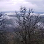 Il Glicine Montefollonico