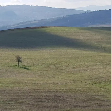 Bed & Breakfast Il Glicine *