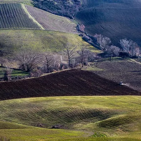 Bed & Breakfast Il Glicine *