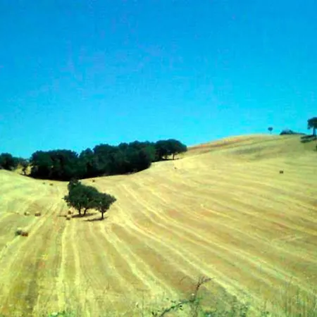 Il Glicine Bed & Breakfast *