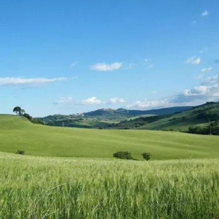 Il Glicine Montefollonico