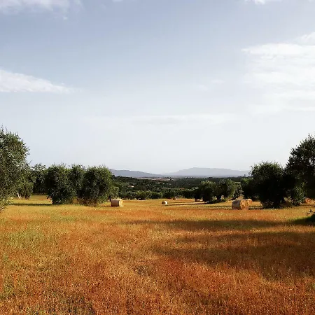 Bed & Breakfast Il Glicine *