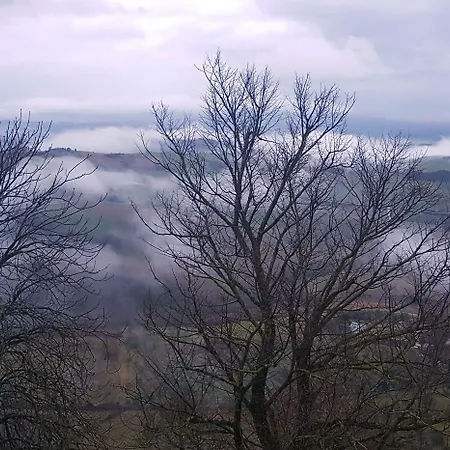 Il Glicine Montefollonico