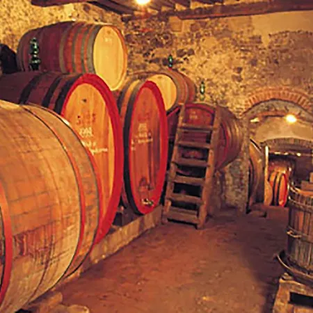 Il Glicine Bed and breakfast Montefollonico