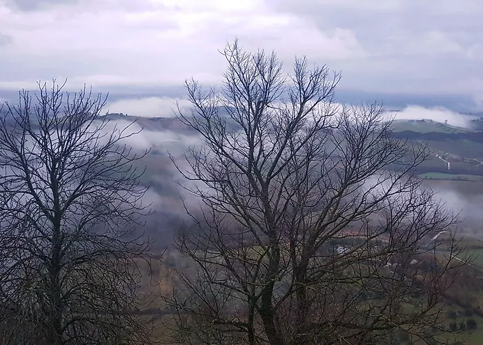 Il Glicine Montefollonico