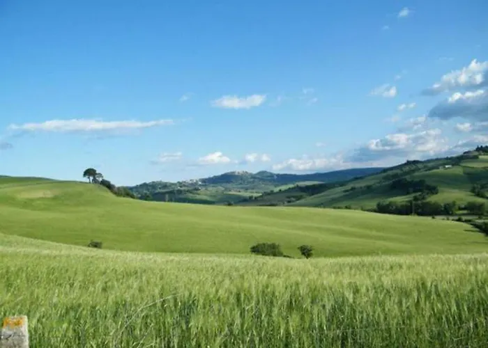 Il Glicine Montefollonico