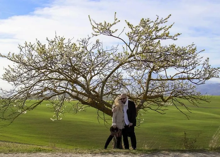 Il Glicine Отель типа 