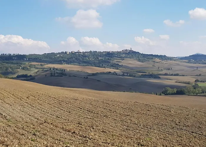 Il Glicine